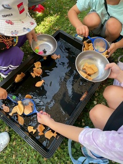 木の金魚すくいの様子