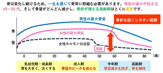 ライフステージ