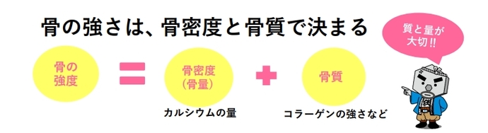 画像:骨の強さについての説明