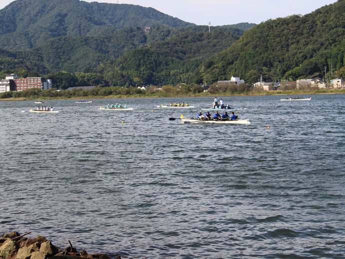 レースの様子