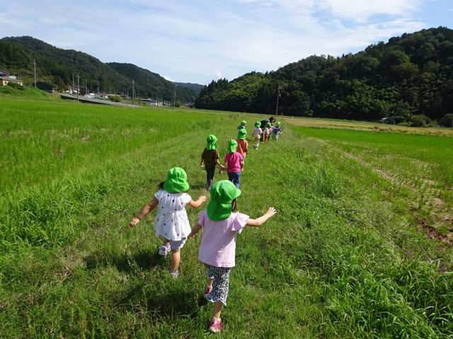 写真：土手を歩く様子