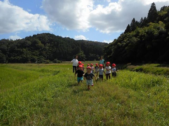 写真：外でかけっこをする様子