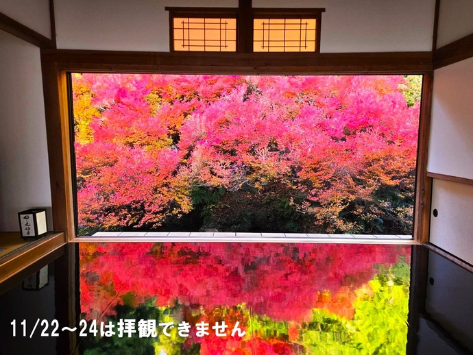 ドウダンツツジ画像