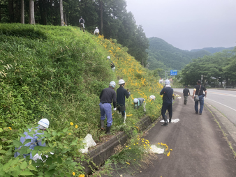 写真：協働によるオオキンケイギク駆除の様子