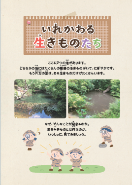 写真：外来種対策普及啓発冊子表紙