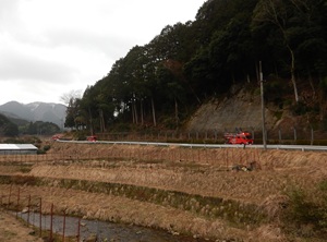 画像：巡回（後付近）