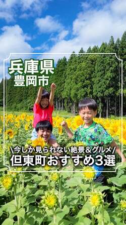 ひまわりまつり、日本・モンゴル民族博物館の動画のサムネイル（外部リンク・新しいウィンドウで開きます）