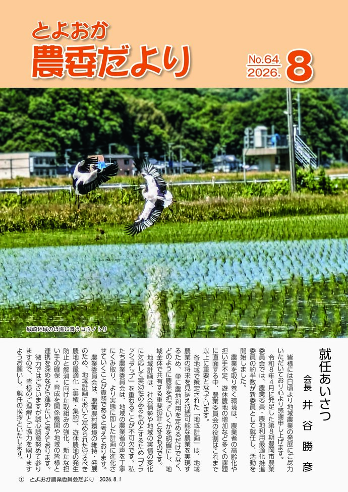 城崎地域のほ場に舞うコウノトリ