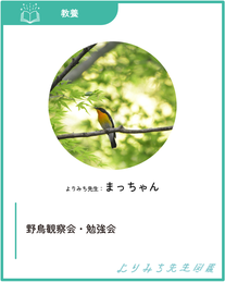 まっちゃん‐野鳥観察会・勉強会