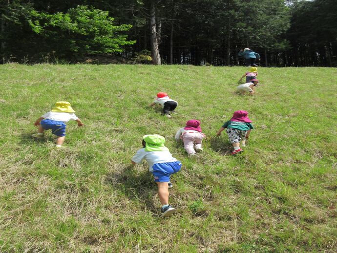 散歩の様子